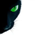 Profile picture shoq.bsky.social