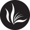 Profile picture illinoispress.bsky.social