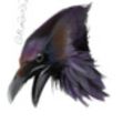 Profile picture rootfire.bsky.social