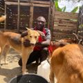 Profile picture zephdogshelter.bsky.social