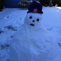 Profile picture rob48.bsky.social