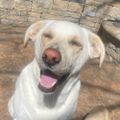 Profile picture kaeski1.bsky.social