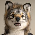 Profile picture woofadoof.bsky.social