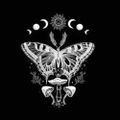 Profile picture witchy-momma.bsky.social