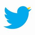 Profile picture urking.bsky.social