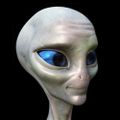 Profile picture aussermensch.bsky.social
