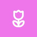 Profile picture ka7y.bsky.social