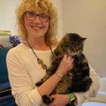 Profile picture aliceeriksen.bsky.social