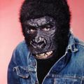 Profile picture kopper.bsky.social