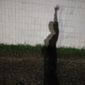 Profile picture nicestpancake.bsky.social