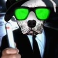 Profile picture laserbrille.bsky.social