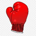 Profile picture theboxingmadman.bsky.social