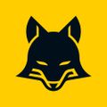 Profile picture foxpopvli.bsky.social