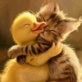 Profile picture sngreen.bsky.social