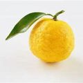 Profile picture 1yuzu.bsky.social