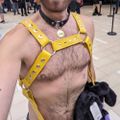 Profile picture labradom.bsky.social