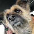 Profile picture gwynstone.bsky.social