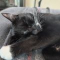 Profile picture mbelton70.bsky.social