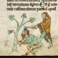 Profile picture historytcd.bsky.social
