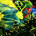 Profile picture sirenxiv.bsky.social