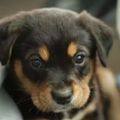 Profile picture charlene411.bsky.social