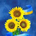 Profile picture barbstc.bsky.social