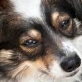 Profile picture pixiepants23.bsky.social