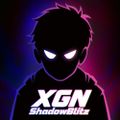Profile picture xgnshadowblitz.bsky.social
