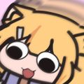 Profile picture s4ik4.bsky.social