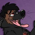 Profile picture midbwolf.bsky.social