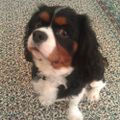 Profile picture 1posta.bsky.social
