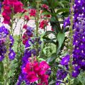 Profile picture rosehiptea.bsky.social