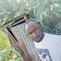 Profile picture rubilensor.bsky.social