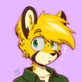 Profile picture gamerfox.bsky.social