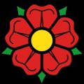 Profile picture herrbecker.bsky.social
