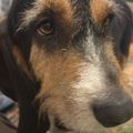Profile picture loo-boo.bsky.social