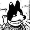 Profile picture wolpkisser.bsky.social