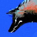 Profile picture yamainuken.bsky.social