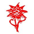 Profile picture anaknits.bsky.social