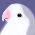 Profile picture bulebon.bsky.social
