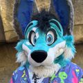 Profile picture southkitsunescopes.bsky.social
