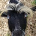 Profile picture rutherfjord.bsky.social