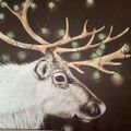 Profile picture jwestsc.bsky.social