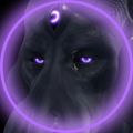 Profile picture polymorphix.bsky.social