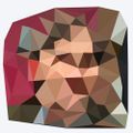 Profile picture spencerdailey.bsky.social