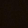 Profile picture 09o9.bsky.social