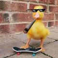 Profile picture joshf47.bsky.social