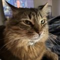 Profile picture lola1985.bsky.social