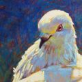 Profile picture pigeonwastaken.bsky.social