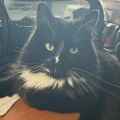 Profile picture linda60.bsky.social